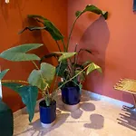Spacious And Pleasant 3 Bedroom Flat Apartment