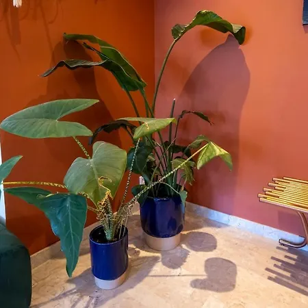 Spacious And Pleasant 3 Bedroom Flat 公寓